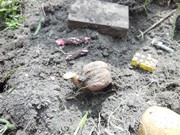 Vykopali jsme hřbitov odpadků